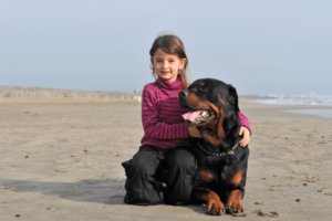 Rottweiler met kind