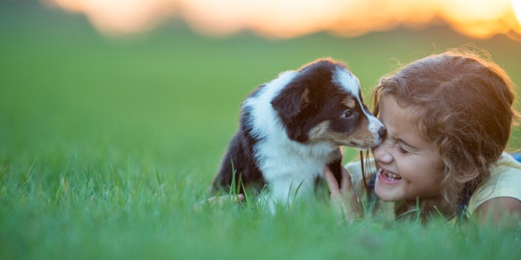 Puppy met kind