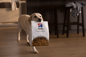 hills dog food