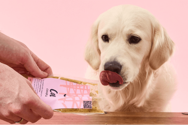 Dog get Tuggs dog food