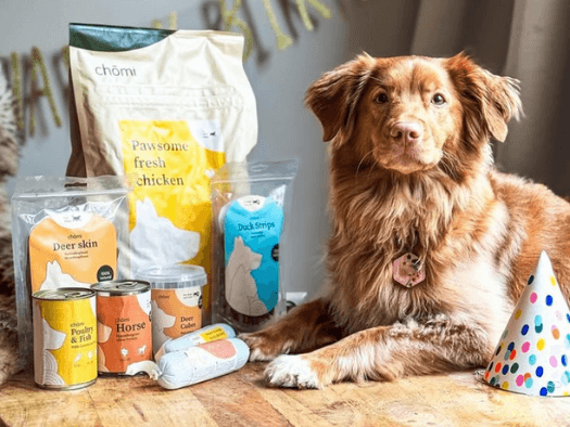 Hond met Chomi hondenvoeding