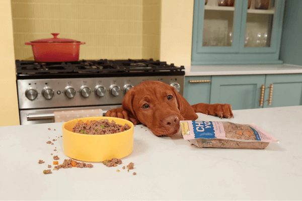 hond eet butternut box hondenvoeding