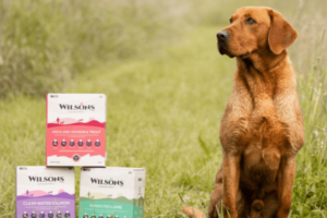 Wilsons dog food