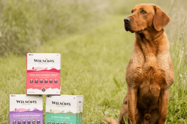Wilsons dog food