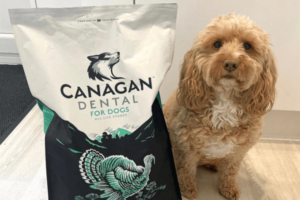 Canagan hondenvoer