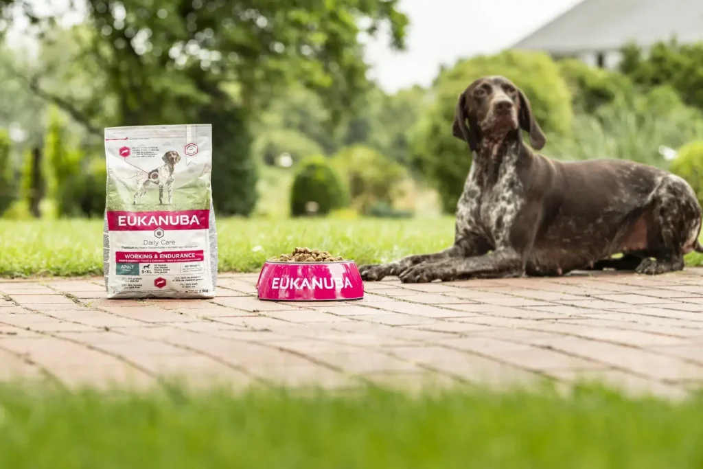 Eukanuba hondenvoer