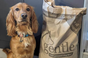 Gentle dog food