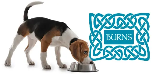Burns dog food
