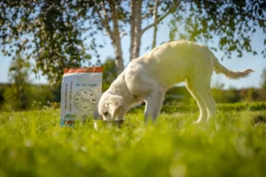 Farm food dog food