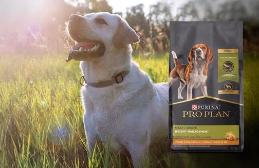 Dog weight managment Purina