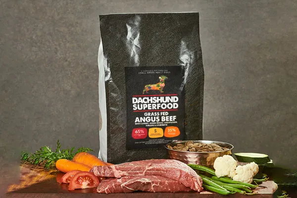 dachshund-superfood-all-natural