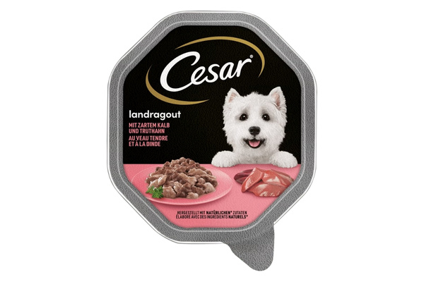 hundefutter von Caesar