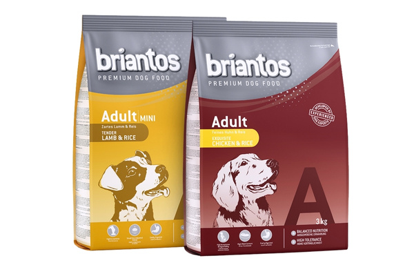 les croquettes de Briantos