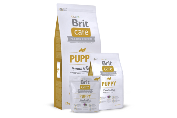 les croquettes de Brit