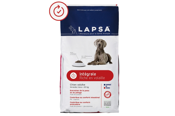 les croquettes de Lapsa