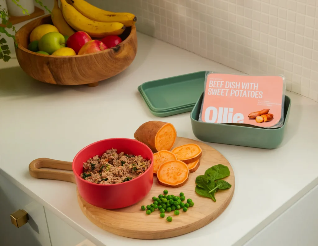 Ollie dog food with ingredients
