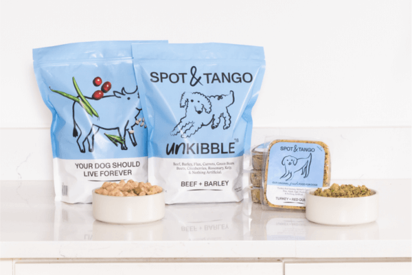 Spot & Tango tested