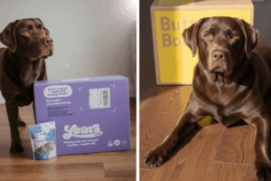 Years vs butternut box dog food